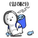 에이데이스튜디오