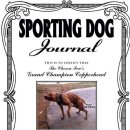 Awesome kennel 이미지