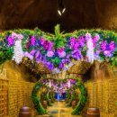 낙식곰탕 이미지