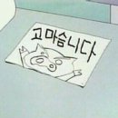 강아지정원 네이버블로그