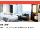 스튜디오케이오 | 신주쿠,스카이타워 도쿄 디즈니리조트 굿네이버호텔,셔틀,일본 자유 여행