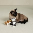 개과천선 이미지