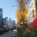 말바우시장 이미지