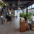 카페마카 이미지