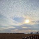 다대포항역 | 부산여행 01ㅣ다대포해수욕장 일몰 감상,다대포항 구경