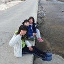 일연펜션 이미지