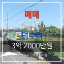 용이1교차로 이미지