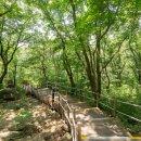 바라산자연휴양림 이미지