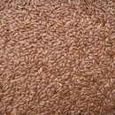 산들초한약품 이미지