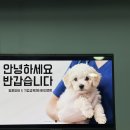 S동물병원 | [동물병원 CS교육] 안내데스크 고객응대 서비스교육 – 보호자 응대가 달라지는 CS교육 | 노효윤 강사