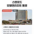 스탠포드리조트 티스토리