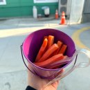 아이스크림스토리 세종도담 | 대전 아이와 동물 체험 가볼만한곳 세종 정동체험마을 솔직후기 체험비, 먹이, 영업시간, 예약, 주차장