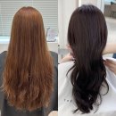예부띠끄 | 토프브라운 염색 건대 염색 맛집 더 부띠끄 후기