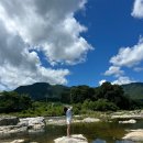 영동반디펜션 | 무주독채펜션 추천! 영동 감성숙소 땡스스테이 후기 / 조용하고 프라이빗한 힐링여행!