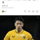 도운 인스스 쓸거면 황희찬처럼 하지 이미지