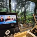 분당-394 이미지