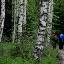 나무와사람들 이미지