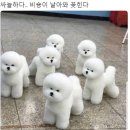 피노키오 인형뽑기 | 홍대 위욜 콩닥콩닥 베이커리 변극쫄의 3인 후기