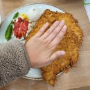 진심유부 | [광주 남구] 행암동 맛집 진심 왕돈까스 솔직후기, 겉바속촉 제대로, 사이드까지 👍