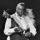 I'll Play The Blues For You (72) / Albert King 이미지