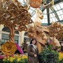 벨라지오 이미지