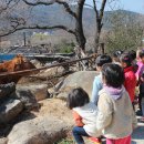 4월이야기-자연학습장 감자심기 & 숲학교까지 걸어서 가보기 이미지