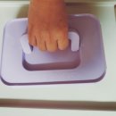 833 | 데비마이어 그린박스 김치통 퍼플 3.7L,1.5L 실사용 진짜 현실 후기(833% 유산균 보존)