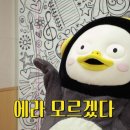 먹보 이미지