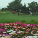 신안종합콘도미니엄 이미지