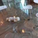 어라운드1142 이미지