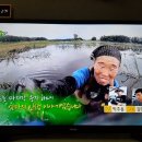 육지&해녀 이미지