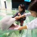 롯데월드아쿠아리움 이미지