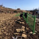 오가면010 이미지