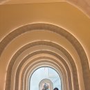 비케이호텔인제주 | 제주맛집 :: 제주 호텔뷔페 그랜드조선호텔 아리아 런치 뷔페 내돈내산 솔직 후기 !