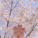 PRETTY OPPA 이미지