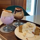 안덕신용협동조합 | 제주 안덕 화순 라떼맛집 신상카페 트리플쓰리