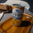 신중국전문