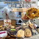 파이진동백 | 부산 빵지순례 빵집 추천 BEST7 | 희와제과 초량온당 베이크백 내돈내산 총정리
