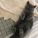 몽글몽글 이미지