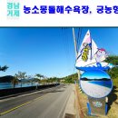 농소항 이미지
