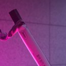 복센 | 2차 블챌 시작! 5화 백수라 아무것도 안 했는데 힘들다