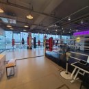 위너 복싱 이미지