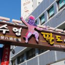 수영메디칼 이미지