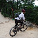 낙성대로 이미지