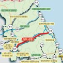 불타는 청춘 강원도 해수욕장 전성기가 돌아왔다 이미지