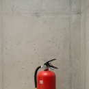 인구스테이 이미지