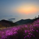 대금산진달래길(트레킹) 이미지