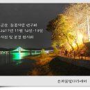 들꽃사랑 이미지