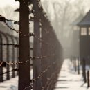 ​제2차 세계대전에 대해 잘 알려지지 않은 사실들 이미지