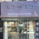도그앤토이